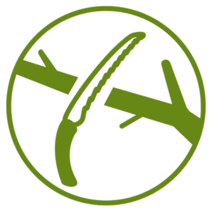 TreeTop Baumpflege GmbH - Baumpflege - Nürnberg / Fürth / Erlangen