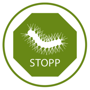 TreeTop Baumpflege GmbH - Eichen-Prozessionsspinner - Nürnberg / Fürth / Erlangen