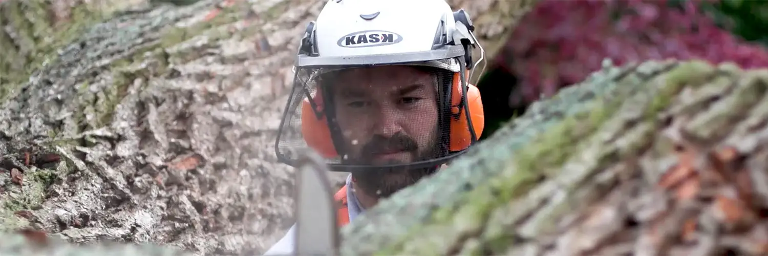 TreeTop Baumpflege GmbH - Bastian Erdorf TreeTop Baumpflege GmbH - Nürnberg Fürth Erlangen - Bastian Erdorf