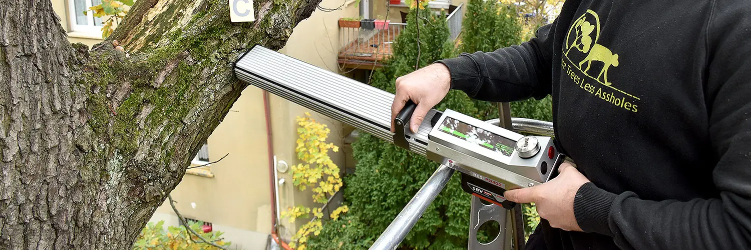 TreeTop Baumpflege GmbH - Nürnberg Fürth Erlangen TreeTop Baumpflege GmbH - Nürnberg Fürth Erlangen