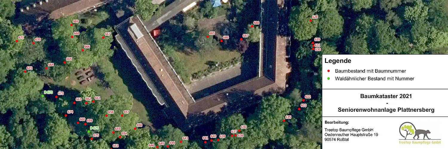 TreeTop Baumpflege GmbH - Nürnberg Fürth Erlangen TreeTop Baumpflege GmbH - Nürnberg Fürth Erlangen