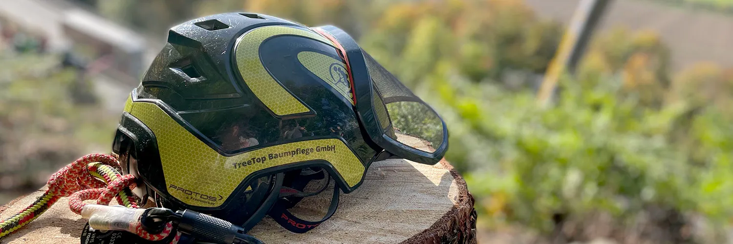 TreeTop Baumpflege GmbH - Nürnberg Fürth Erlangen