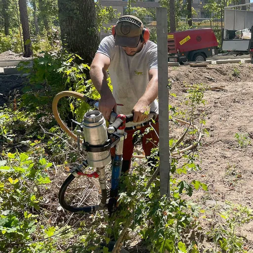TreeTop Baumpflege GmbH - Nürnberg Fürth Erlangen - Baumumfeld